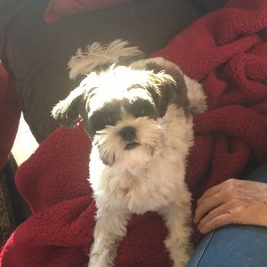 Meet your Posher, Verna